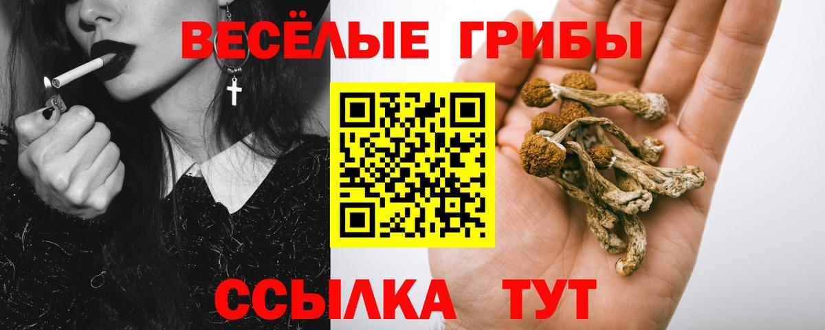 Галлюциногенные грибы Cubensis Ухта