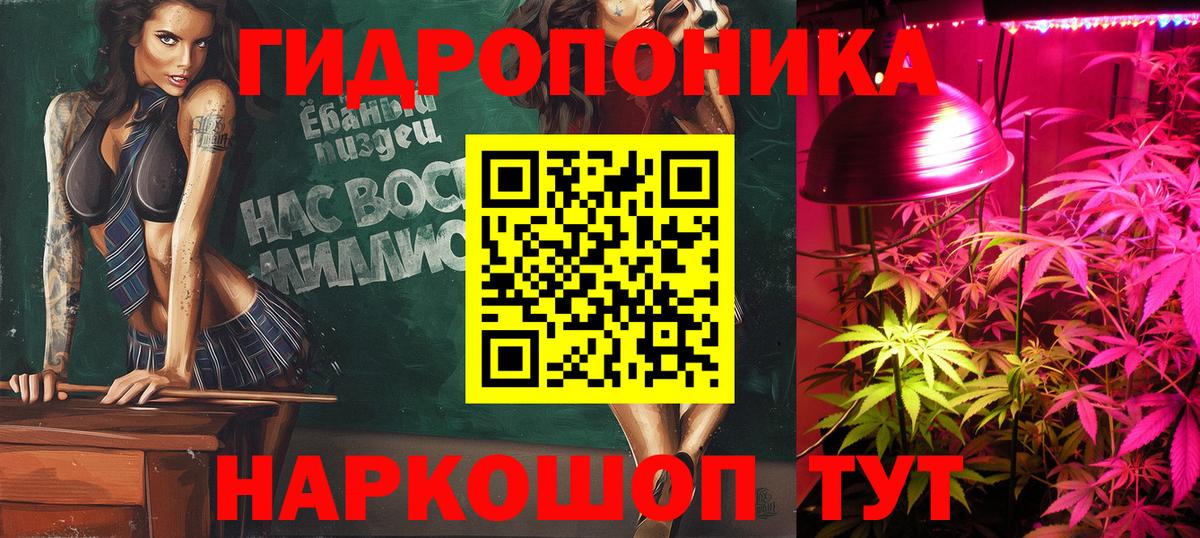 Бошки марихуана OG Kush  Вход с VPN  Канабис MAZAR  Каннабис ГИДРОПОН  Ухта 